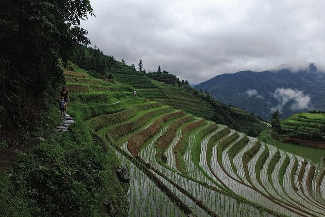 1-Day Longji Terrace Fields-Pingan village Tour with the English Speaking Driver - A private Longji day that keeps the day yours