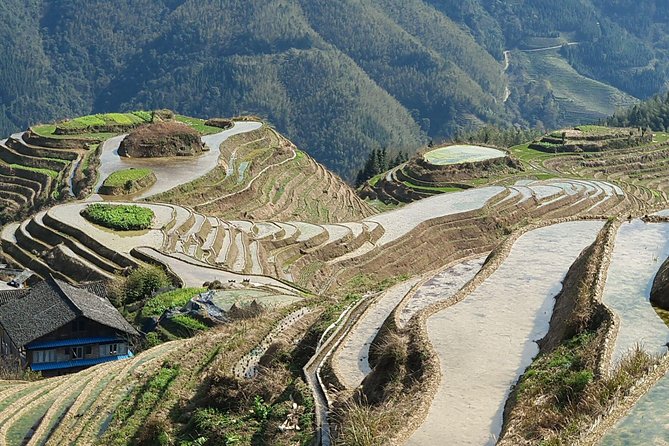 1-Day Longji Terrace Fields-Pingan village Tour with the English Speaking Driver - Price and value: $78.54 for private transport, plus an extra ticket