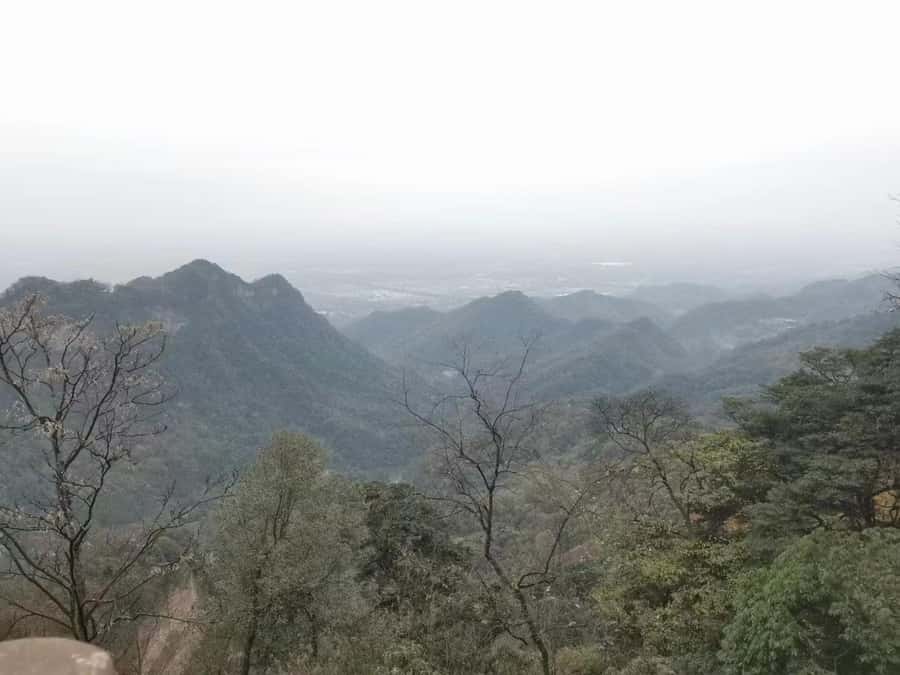 1-Day Mount Qingcheng and Dujiangyan Irrigation System Tour - Key points to know before you go