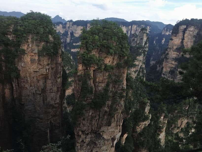 1-Day Private Tour to Zhangjiajie Highlights - Wildlife and Plants in the Park: What You Can Actually Spot