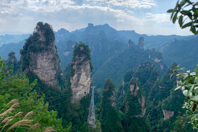 1-Day Private Tour to ZJJ Forest Park with Off the Beaten Tracks - Guides matter, and the pattern is clear