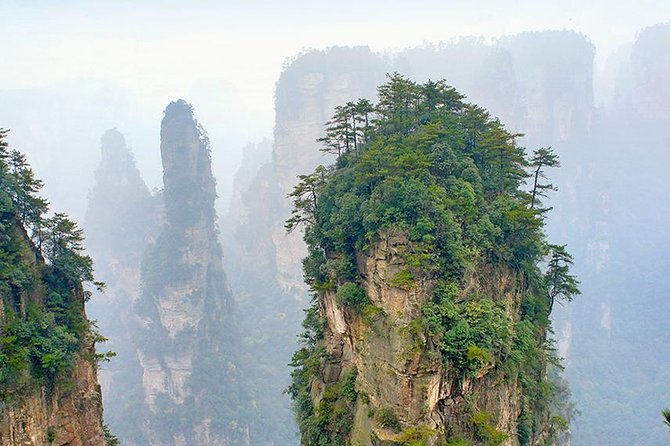 1-Day Private Tour to ZJJ National Forest Park & Avatar Mountain - Why skipping the ticket line matters in Zhangjiajie