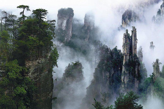1-Day Private Tour to ZJJ National Forest Park & Avatar Mountain - Golden Whip Brook: start easy, set the tone