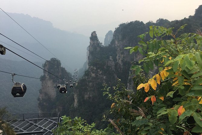 1-Day Private Tour to ZJJ National Forest Park & Avatar Mountain - Pacing, photo timing, and how guides handle chaos