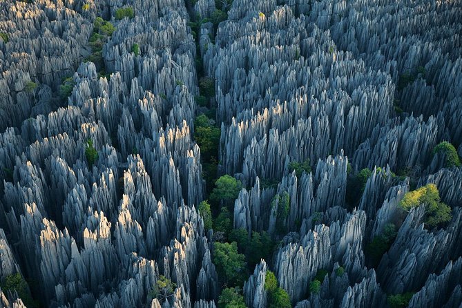 1 Day Stone Forest & Jiuxiang Cave Tour - Key highlights worth clocking before you go