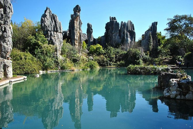 1 Day Stone Forest & Jiuxiang Cave Tour - A Private Day Between Karst Wonders and Cave Theatre