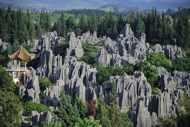 1 Day Stone Forest & Jiuxiang Cave Tour - How the Timing Works, and Why the Full-Day Plan Actually Helps