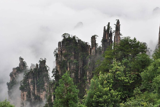 1 "Pandora" Day Trip-Zhangjiajie National Park(Avatar Mountain Scenery) - Bailong Elevator (326 m): the ride that changes the whole day