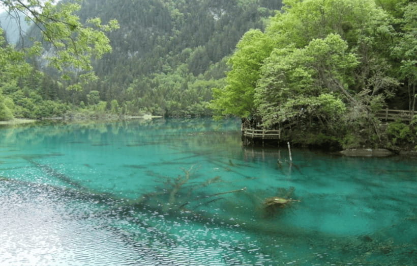 2 Day Chengdu to Jiuzhaigou&Huanglong Self-Guided w/Transfer - Transfers and Driver Reality: Where Convenience Helps, and Where It Can Get Messy