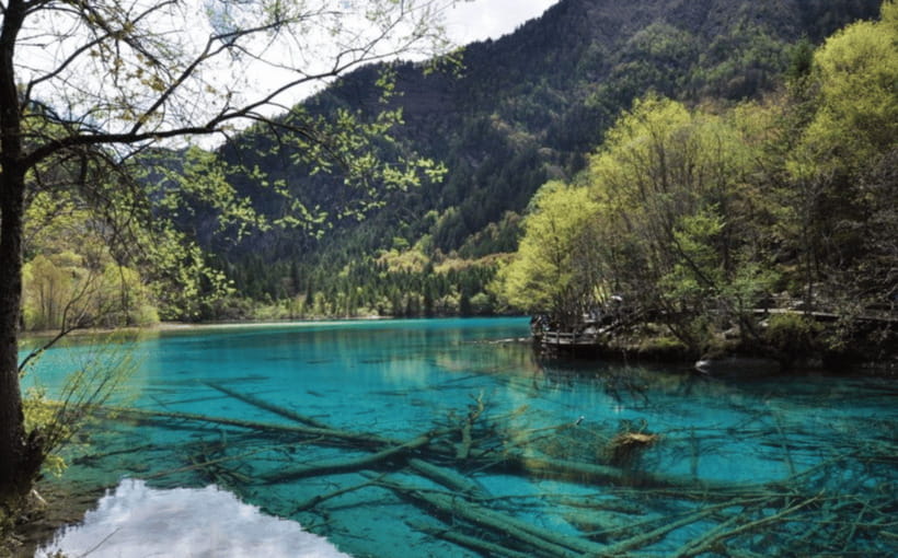 2 Day Chengdu to Jiuzhaigou&Huanglong Self-Guided w/Transfer - Communication and Timing: The Small Stuff That Can Make or Break the Trip