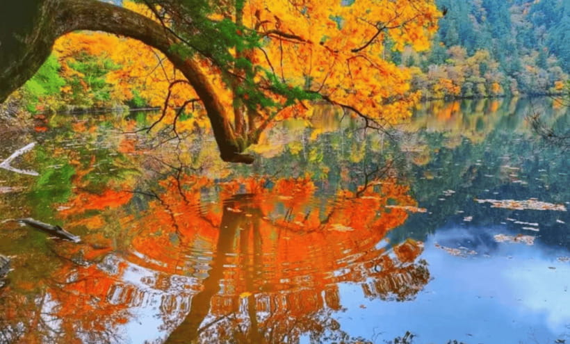 2 Day Chengdu to Jiuzhaigou&Huanglong Self-Guided w/Transfer - Who This Fits Best (and Who Might Prefer a Guide)