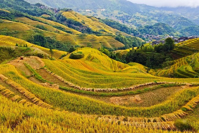 2 Day Guilin Highlights Li River Cruise and Longji Terraces Tour - Guides make the difference, especially when weather changes