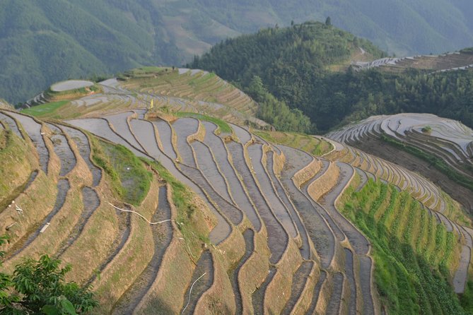 2 Day Guilin Highlights Li River Cruise and Longji Terraces Tour - Day 1: Longji Rice Terraces with a Ping’an focus