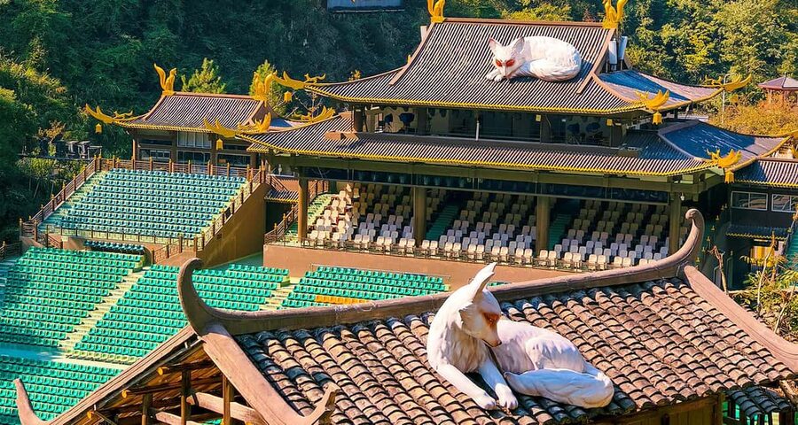 2-Day Private Zhangjiajie Tour Avatar Mountain, Glass Bridge - Day 2: Glass Bridge Over the Grand Canyon, Plus Tianmen Mountain’s Best Hits