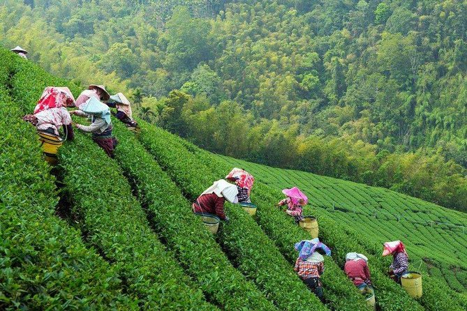 2-Day Unlimited Private Trip to Suzhou and Hangzhou by Bullet Train from Shanghai - Key Points You’ll Care About