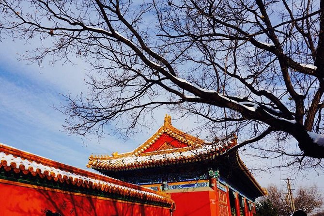 2 Days Beijing Group Tour Including Great Wall And Forbidden city - The included guide factor, and why it shows up in the reviews