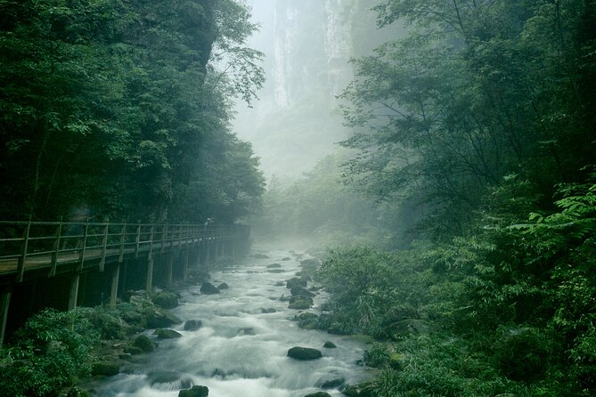 2 Full Days Zhangjiajie National Forest Park & Glass Bridge Tour - Grand Canyon of Zhangjiajie and the world-famous glass bridge moment
