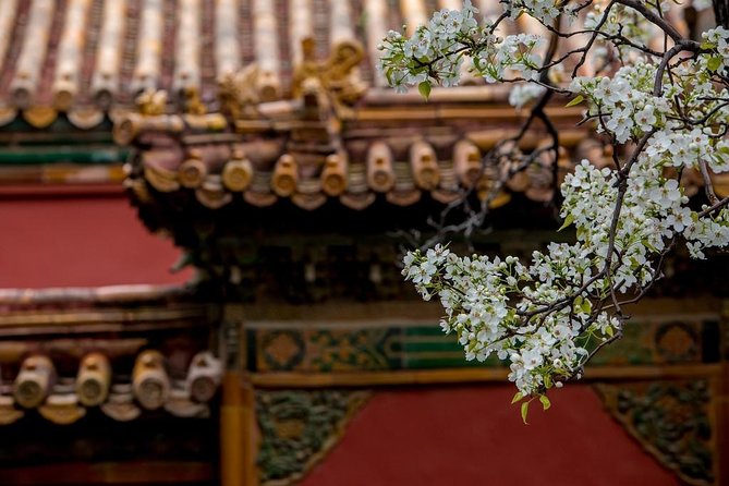 3-Day Private Beijing Tour with Forbidden City, Great Wall, Hutong and Lunch - Tickets, passport names, and the one detail you should not skip