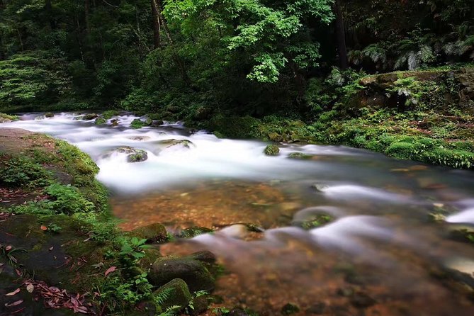 3-Day Private Zhangjiajie In-depth Exploring Tour - English-Speaking Guides, and Why the Human Touch Matters