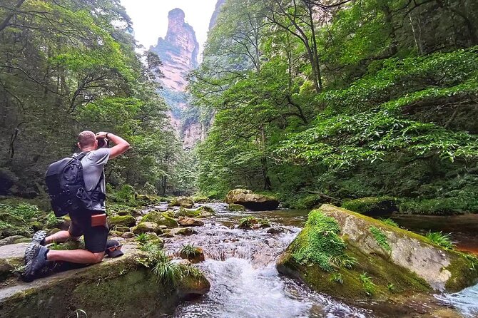 3-Day "Secrets Of Zhangjiajie" Deep Photography Tour - Zhangjiajie National Forest Park, where the pillars do the talking