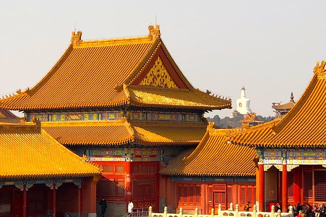 3-Hour Private Tour: Amazing Beijing City Highlights - Imperial Garden at the Palace Museum: a calmer final note