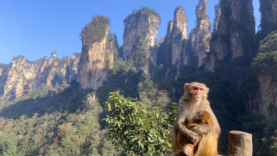4-Day Highlights of Zhangjiajie With Sunrise Experience - Day 4 Tianmen Mountain, Longest Cable Car and the Cave Scene