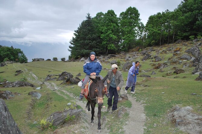 4 Days Haba Snow Mountain Climbing Tour (Lijiang-Shangri-La) - Day 4 return to Lijiang: take in the gorge after the work