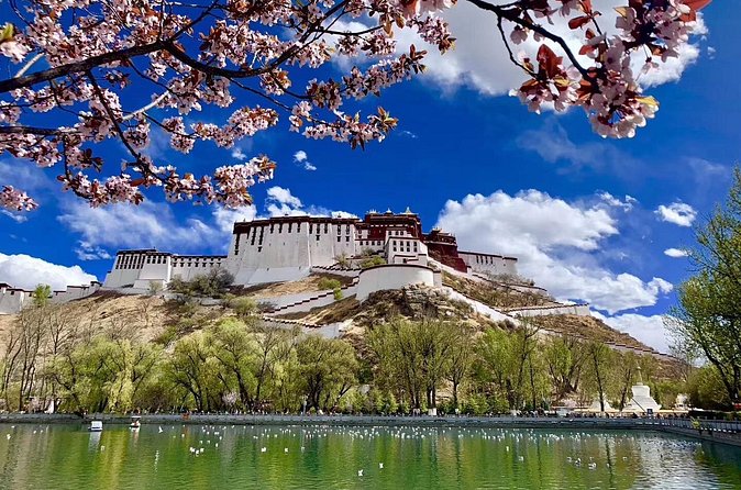 4 Days Lhasa Impression Small Group Tour - Day 2: Potala Palace, Jokhang Temple, and a Barkhor Street kora day