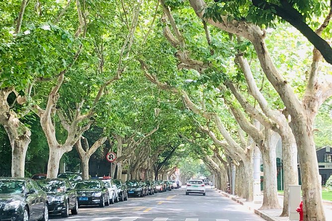 4-Hour Private Shanghai Walking Tour of Former French Concession - Who this private Shanghai walk suits best