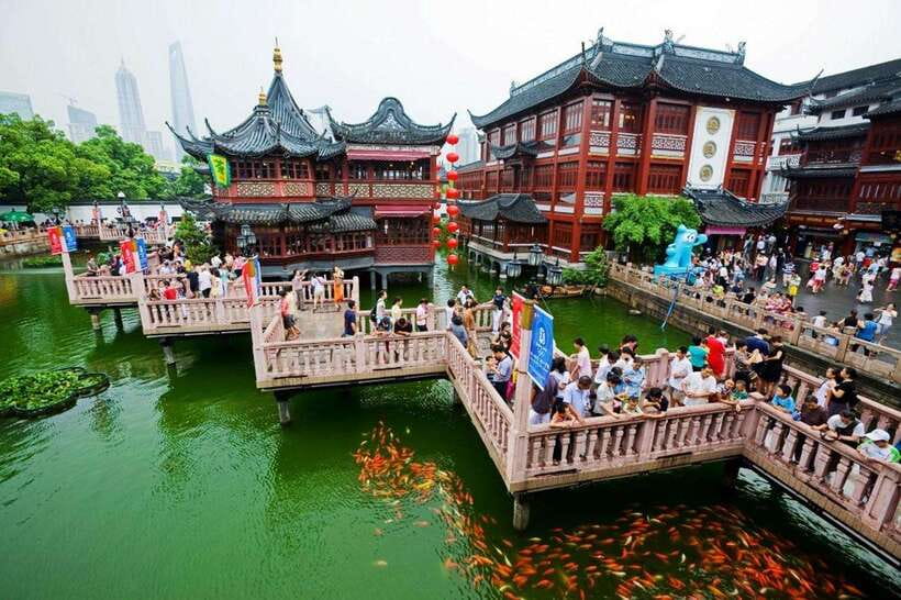 4-Hour Shanghai Best Garden and Temple Tour with Tea Tasting - Who this tour suits best