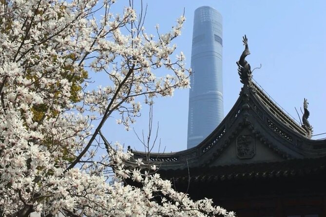 4-Hr Shanghai Layover Tour: Maglev, Wet Market, Food, Landmarks - From Pudong to Downtown, the Maglev plan that saves time