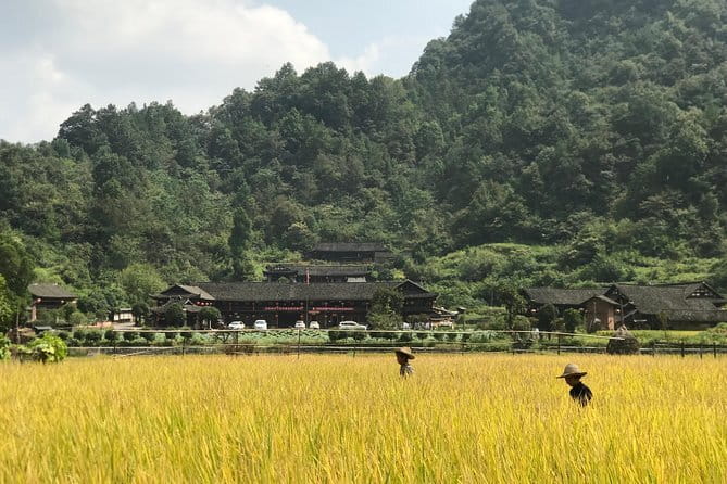 5-Day Private Zhangjiajie Ultimate Experience Tour - Weather check: why visibility can make or break your trip