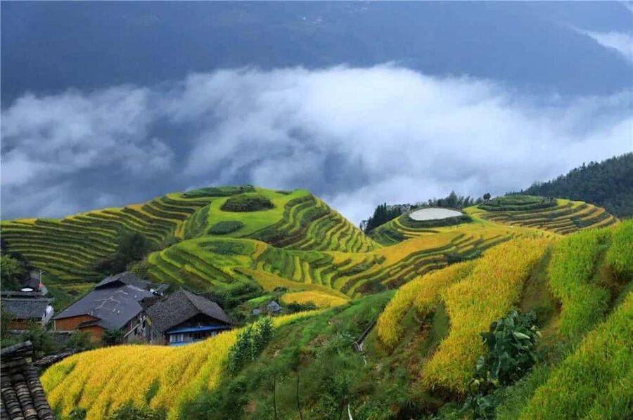 6-Day Private Tour: Guilin Terraces, Fenghuang & Zhangjiajie - Fenghuang Ancient Town: Ming/Qing Streets, Riverside Stilt Houses, and Easy Evening Time