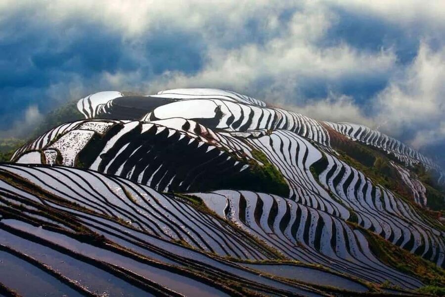 6-Day Private Tour: Guilin Terraces, Fenghuang & Zhangjiajie - Day 5: Avatar Mountain Connections That Still Feel Real