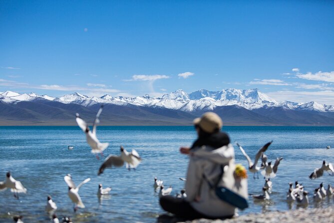 6 Days Lhasa Gyantse Shigatse Group Tour - Lhasa Day 2: Drepung Monastery, Tibet Museum, and Norbulingka
