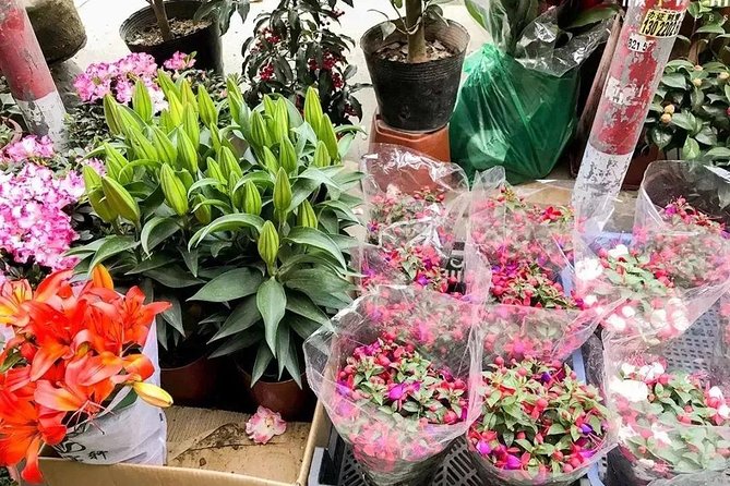 6-Hour Private Beijing Tour: Flower and Fish Market, Panjiayuan Antique Market and 798 Art Zone - Price and What You Get for $158 Per Person