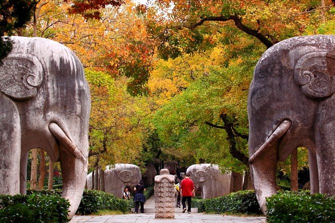 6-Hour Private Tour of Xiaoling Tomb,City Wall & Memorial Hall - Key highlights you will actually notice