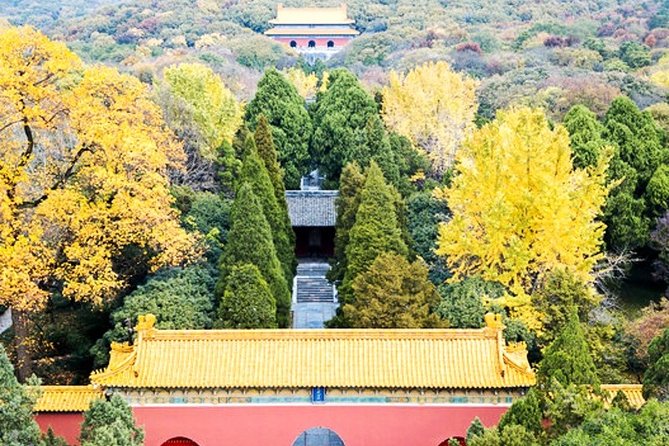 6-Hour Private Tour of Xiaoling Tomb,City Wall & Memorial Hall - The private guide effect: questions, clarity, and better memory