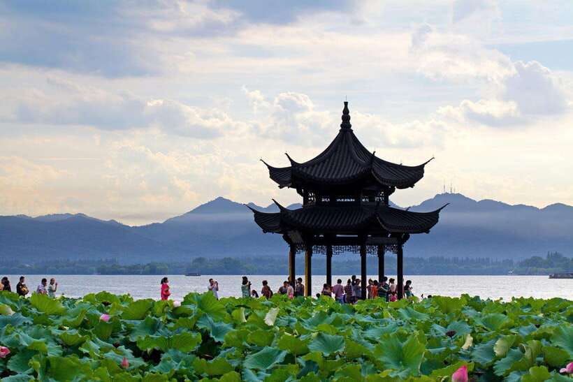 7 hours Hangzhou Tour Itinerary - West Lake Benshan Longjing Tea Museum: tea culture, not just a photo stop