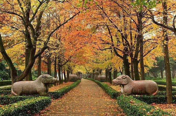 All Inclusive Amazing Nanjing City Highlights Private Day Tour - Confucius Temple area (Fuzi Miao): snacks, worship, and a river pause