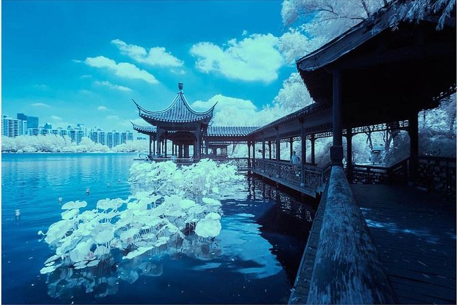 All Inclusive Amazing Nanjing City Highlights Private Day Tour - Lunch and the optional halal dinner with a dancing show