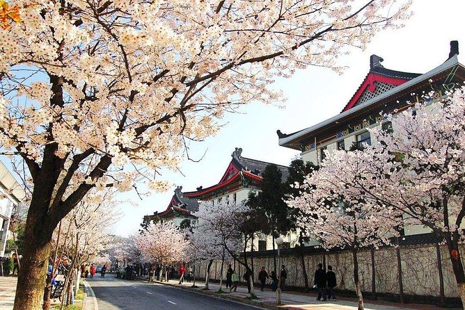 All Inclusive Nanjing City Private Day Tour with Tailor-Made Highlights - How the day flows, and why this order makes sense