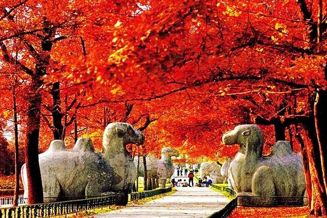 All Inclusive Nanjing City Private Day Tour with Tailor-Made Highlights - Purple Mountain (Zijin Shan): the ceremonial start