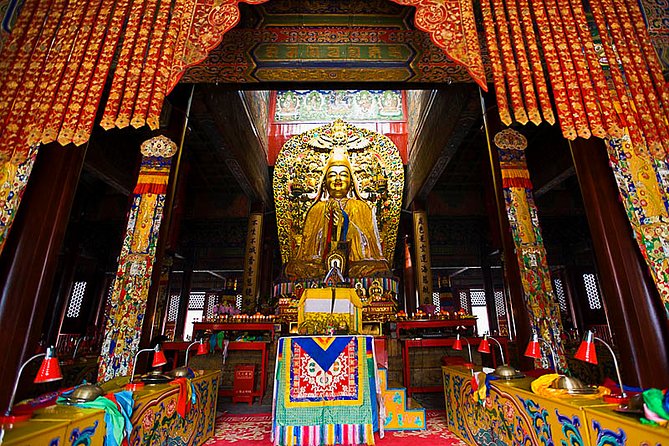 All-inclusive Private Day Trip: Hutongs, Lama Temple & Panda House with Lunch - Morning pandas at the Panda House: why timing matters