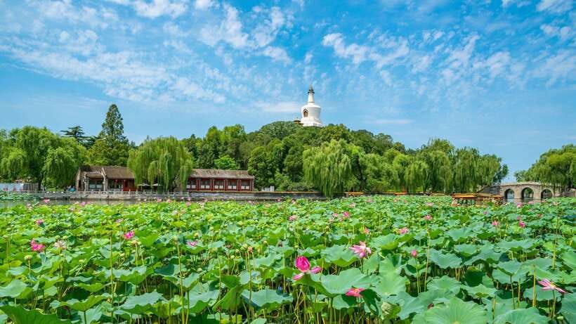 Beijing: Beihai Park Entry Ticket & English PDF Guidebook - Key highlights at a glance