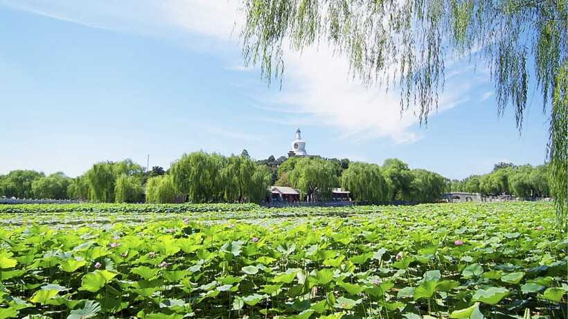 Beijing: Beihai Park Full Access Ticket - Must-See in China - Value for Money at Around $9