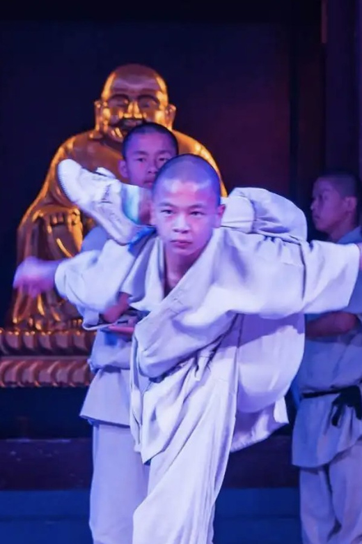 Beijing:Bullet Train Day Tour to Shaolin Temple&Martial Arts - Who should book this Shaolin Temple bullet train day trip?