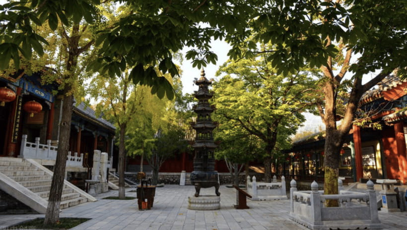 Beijing:Bullet Train Day Tour to Shaolin Temple&Martial Arts - FAQ