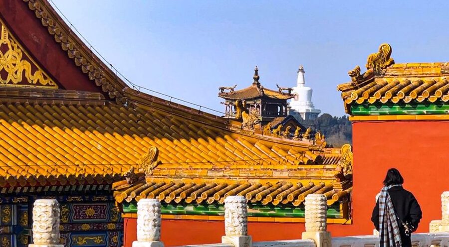 Beijing Classic 2-day Package Tour - Optional acrobatics near the Forbidden City, plus a reality check