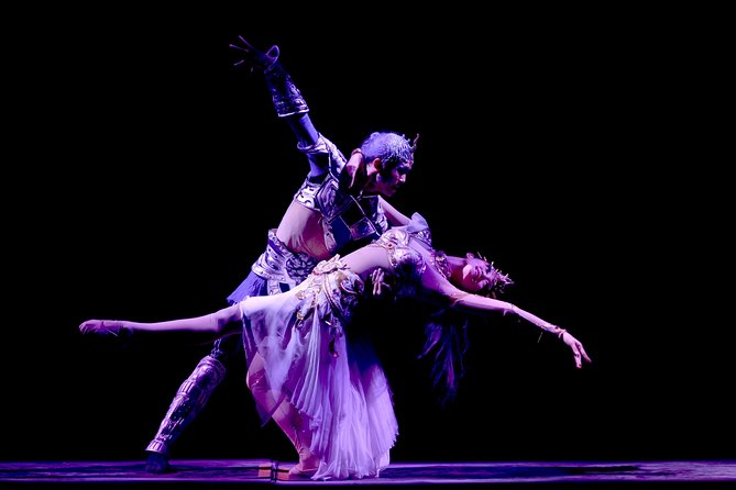 Beijing Evening Tour: Chaoyang Acrobatic Show with Peking Duck Dinner - What “Private Tour” Means for Your Evening